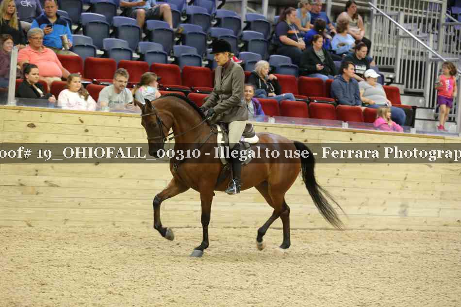 Proof 19_OHIOFALL_00310