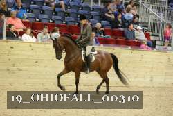 19_OHIOFALL_00310 proof