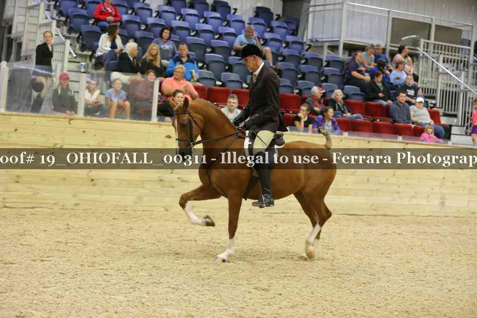 Proof 19_OHIOFALL_00311