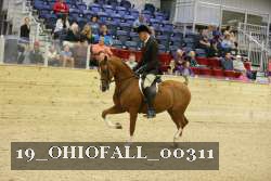 19_OHIOFALL_00311 proof