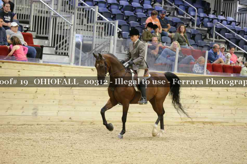 Proof 19_OHIOFALL_00312