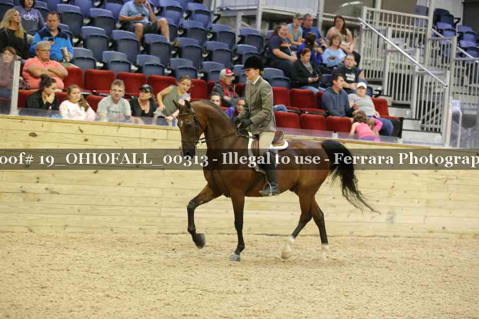Proof 19_OHIOFALL_00313