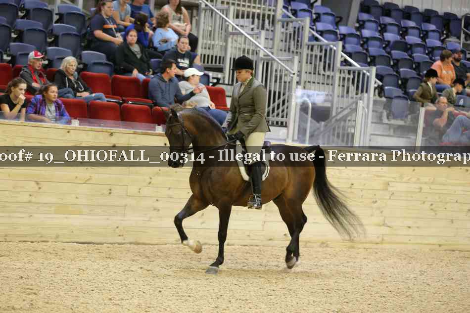 Proof 19_OHIOFALL_00314