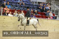 19_OHIOFALL_00315 proof