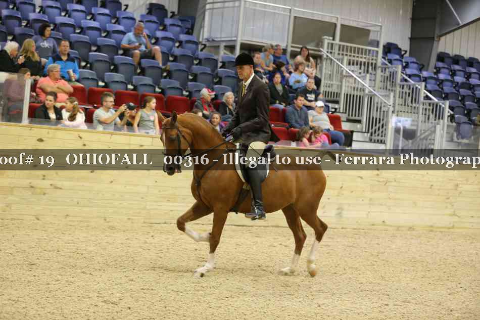 Proof 19_OHIOFALL_00316