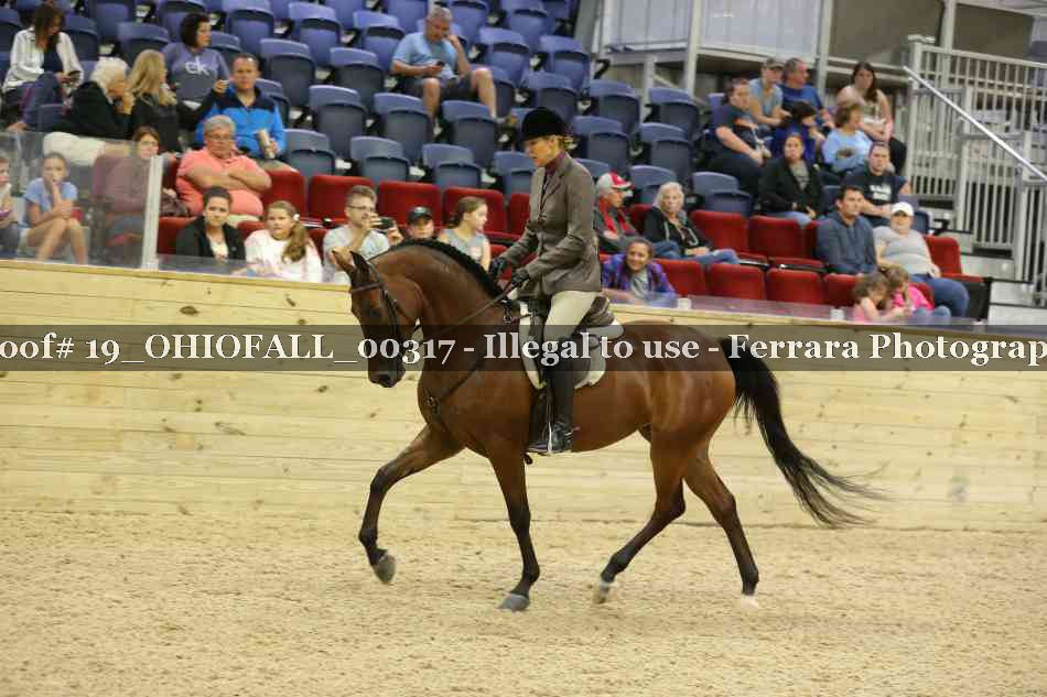 Proof 19_OHIOFALL_00317