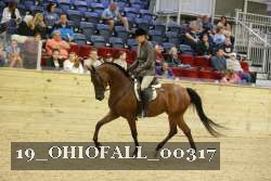 19_OHIOFALL_00317 proof