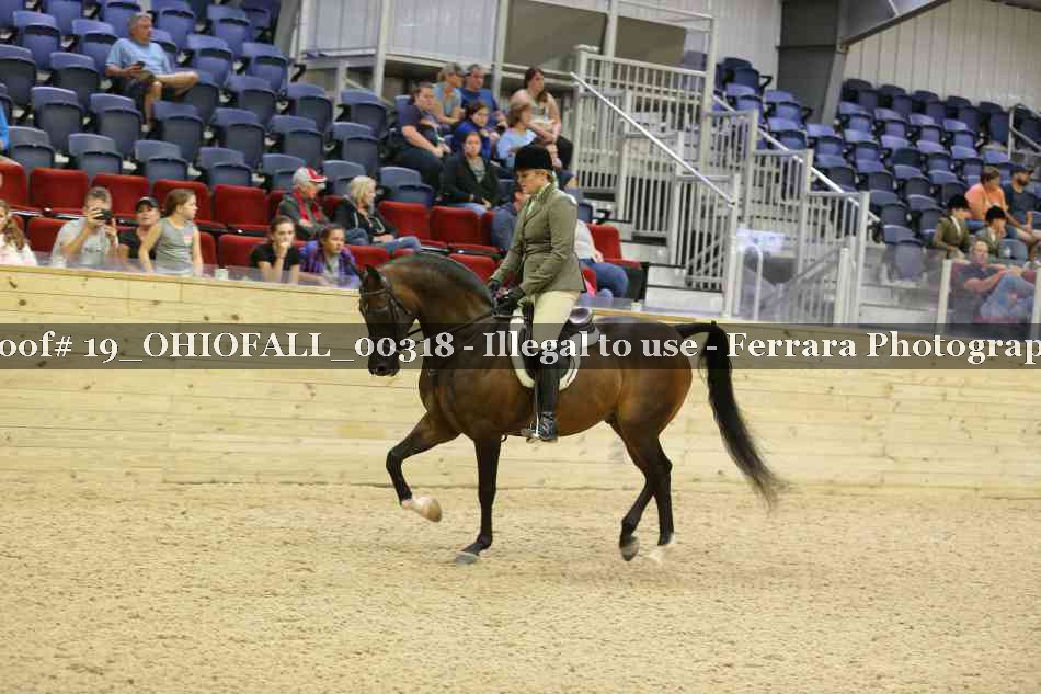 Proof 19_OHIOFALL_00318