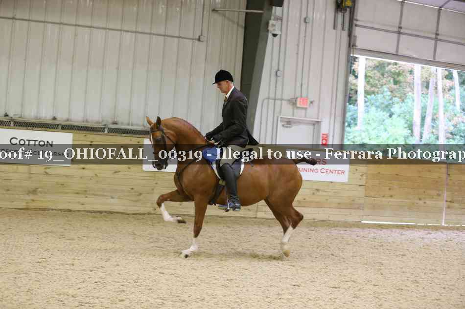Proof 19_OHIOFALL_00319