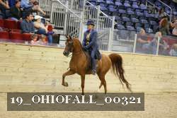 19_OHIOFALL_00321 proof