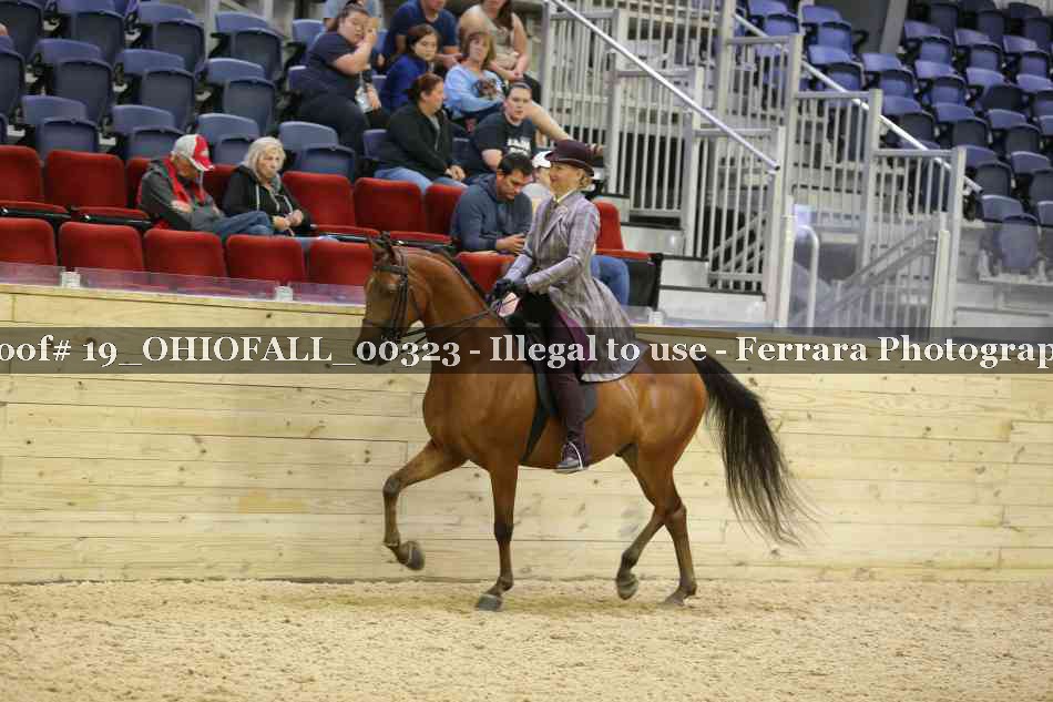 Proof 19_OHIOFALL_00323