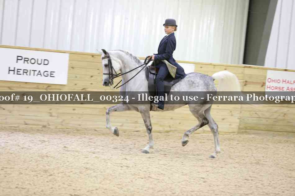 Proof 19_OHIOFALL_00324