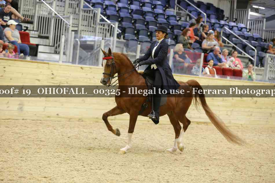 Proof 19_OHIOFALL_00325