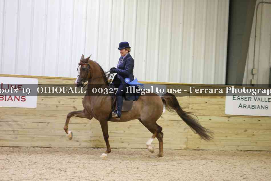 Proof 19_OHIOFALL_00327