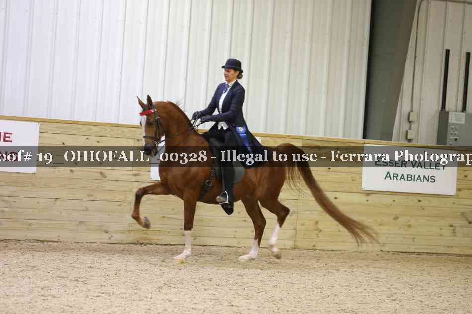 Proof 19_OHIOFALL_00328