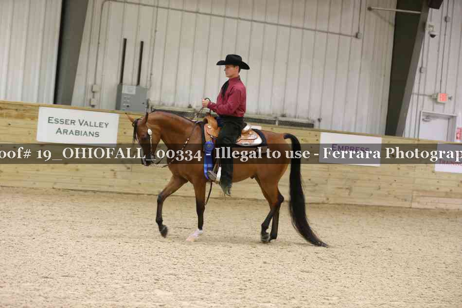 Proof 19_OHIOFALL_00334
