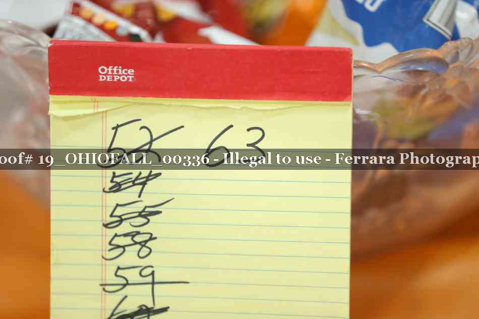 Proof 19_OHIOFALL_00336