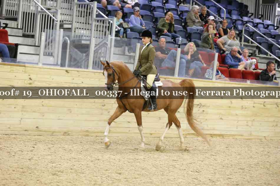Proof 19_OHIOFALL_00337