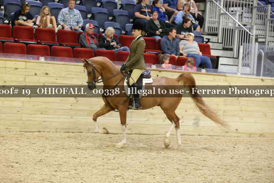 Proof 19_OHIOFALL_00338