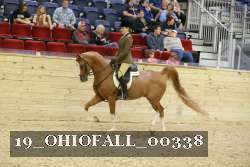 19_OHIOFALL_00338 proof