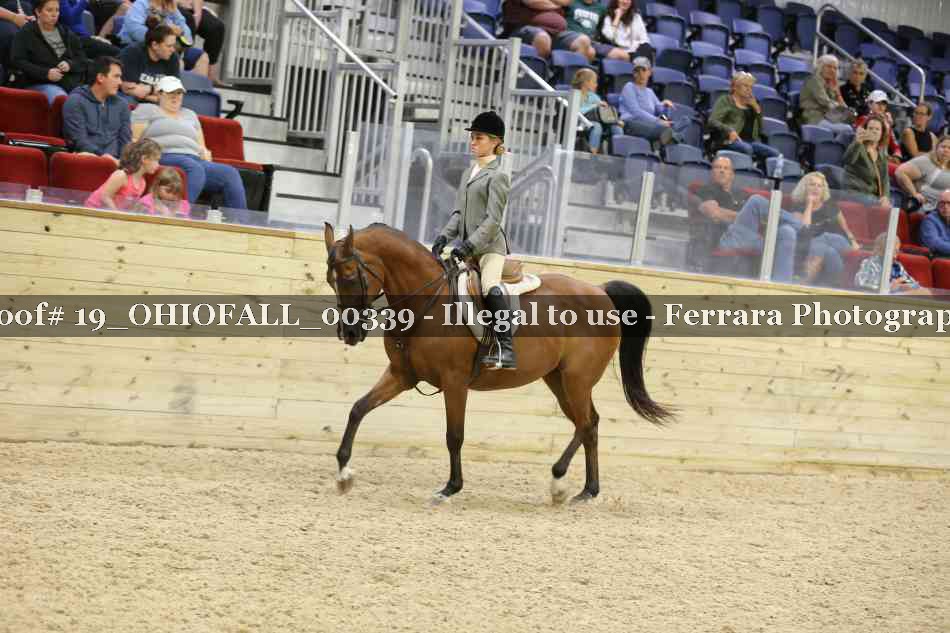 Proof 19_OHIOFALL_00339