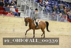 19_OHIOFALL_00339 proof