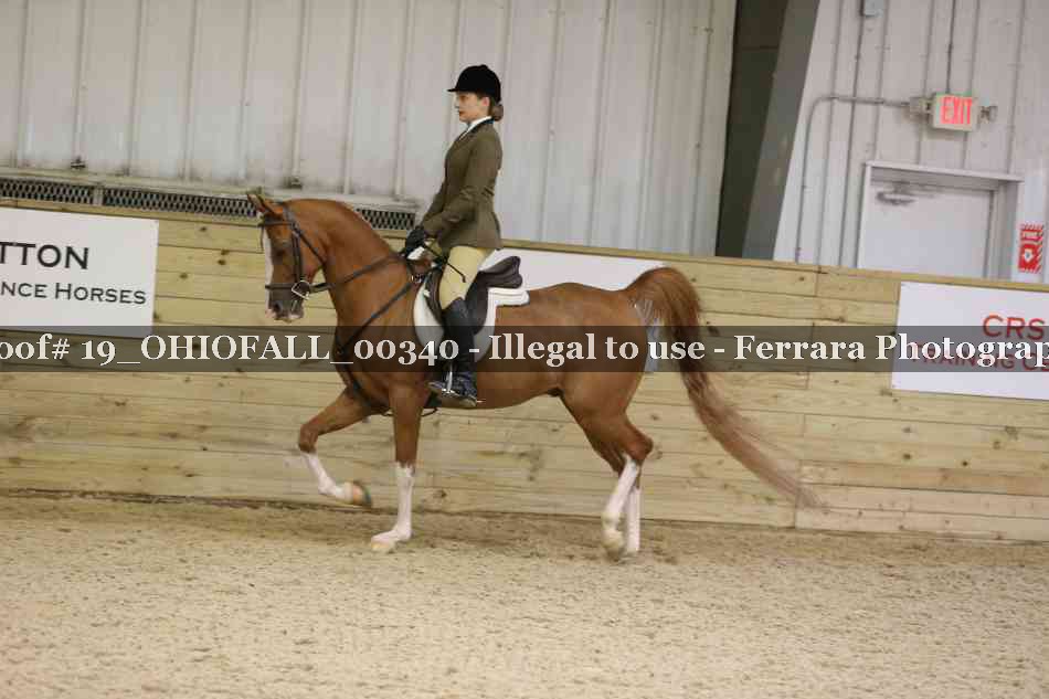 Proof 19_OHIOFALL_00340