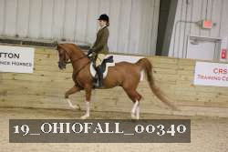 19_OHIOFALL_00340 proof