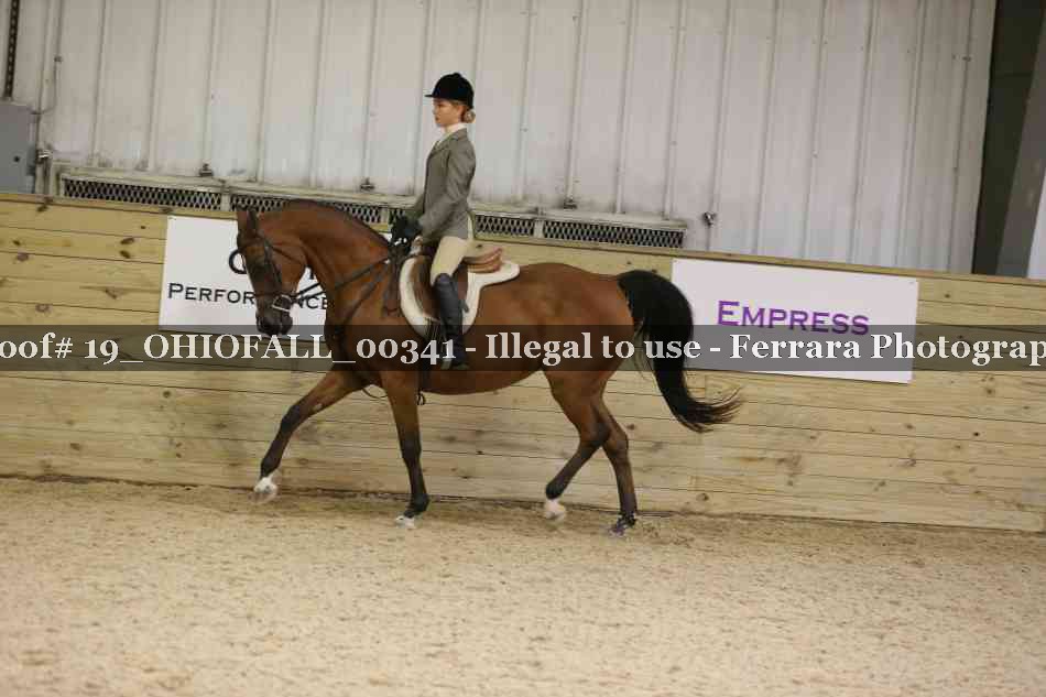 Proof 19_OHIOFALL_00341