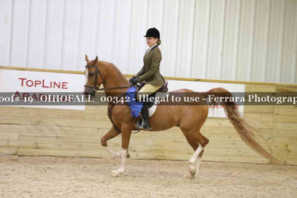 Proof 19_OHIOFALL_00342