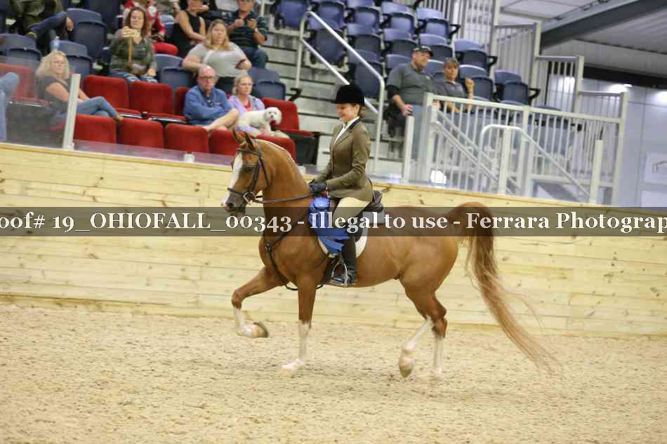Proof 19_OHIOFALL_00343