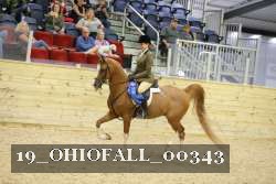 19_OHIOFALL_00343 proof