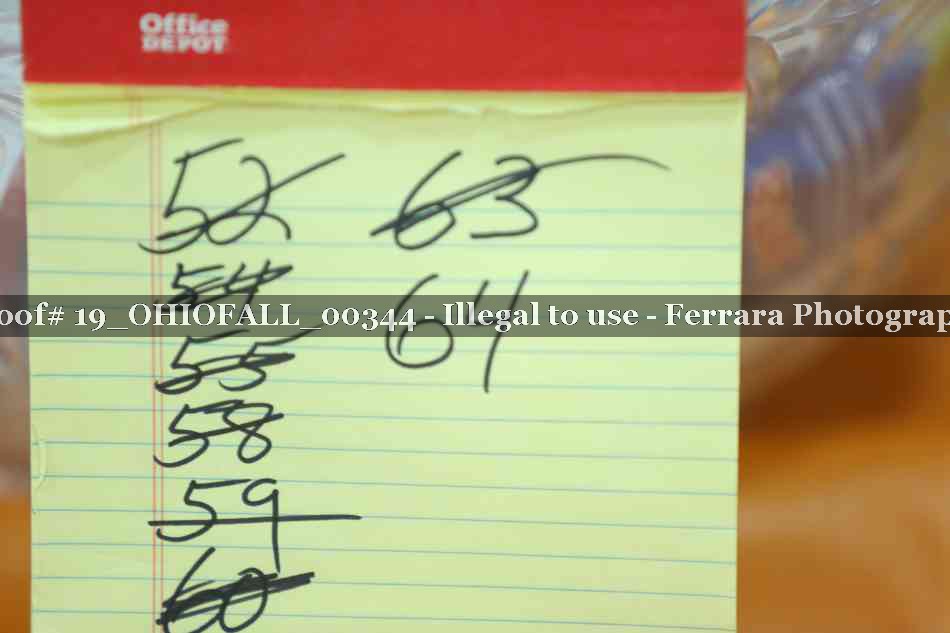 Proof 19_OHIOFALL_00344