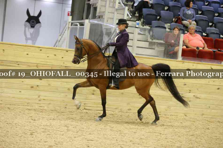 Proof 19_OHIOFALL_00345