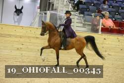 19_OHIOFALL_00345 proof