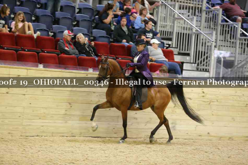 Proof 19_OHIOFALL_00346