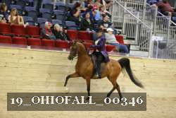 19_OHIOFALL_00346 proof