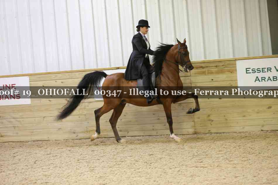 Proof 19_OHIOFALL_00347