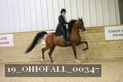19_OHIOFALL_00347 proof