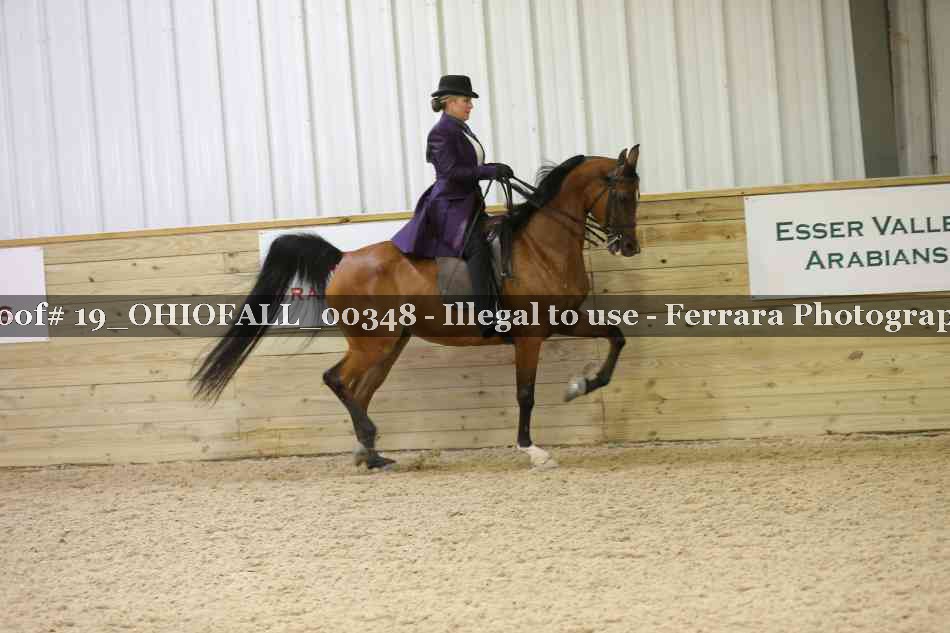Proof 19_OHIOFALL_00348