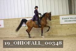 19_OHIOFALL_00348 proof