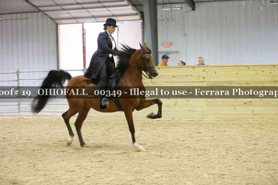 Proof 19_OHIOFALL_00349