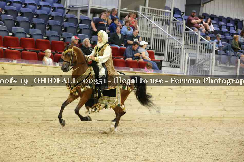 Proof 19_OHIOFALL_00351