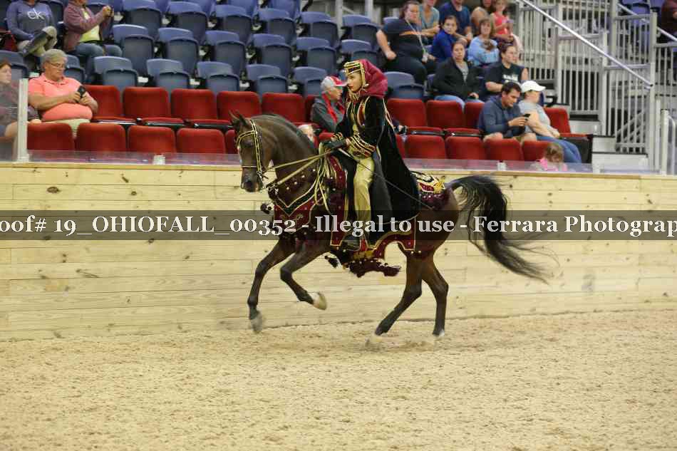 Proof 19_OHIOFALL_00352