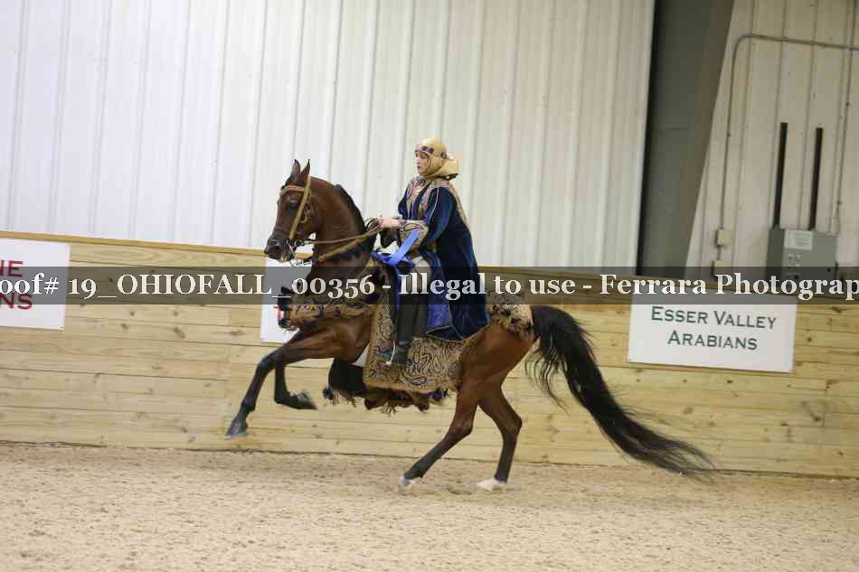 Proof 19_OHIOFALL_00356