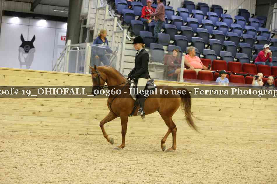 Proof 19_OHIOFALL_00360