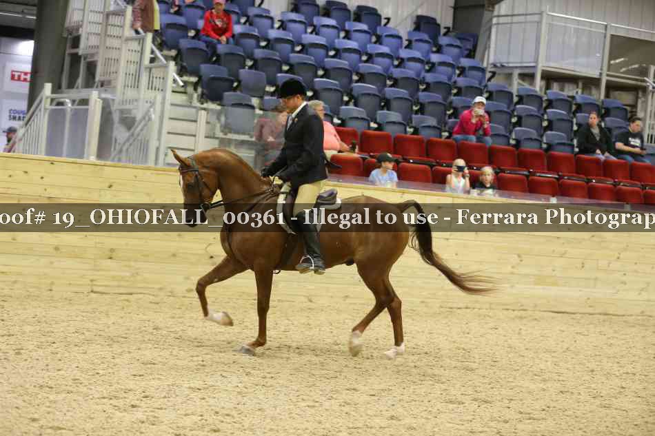 Proof 19_OHIOFALL_00361