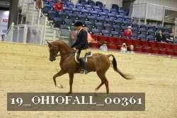 19_OHIOFALL_00361 proof