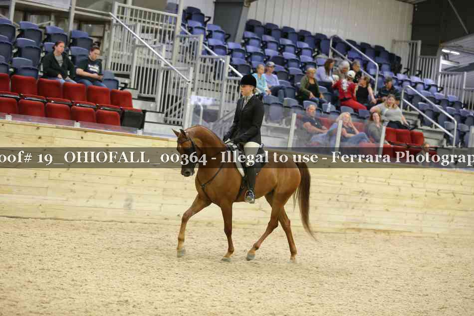 Proof 19_OHIOFALL_00364