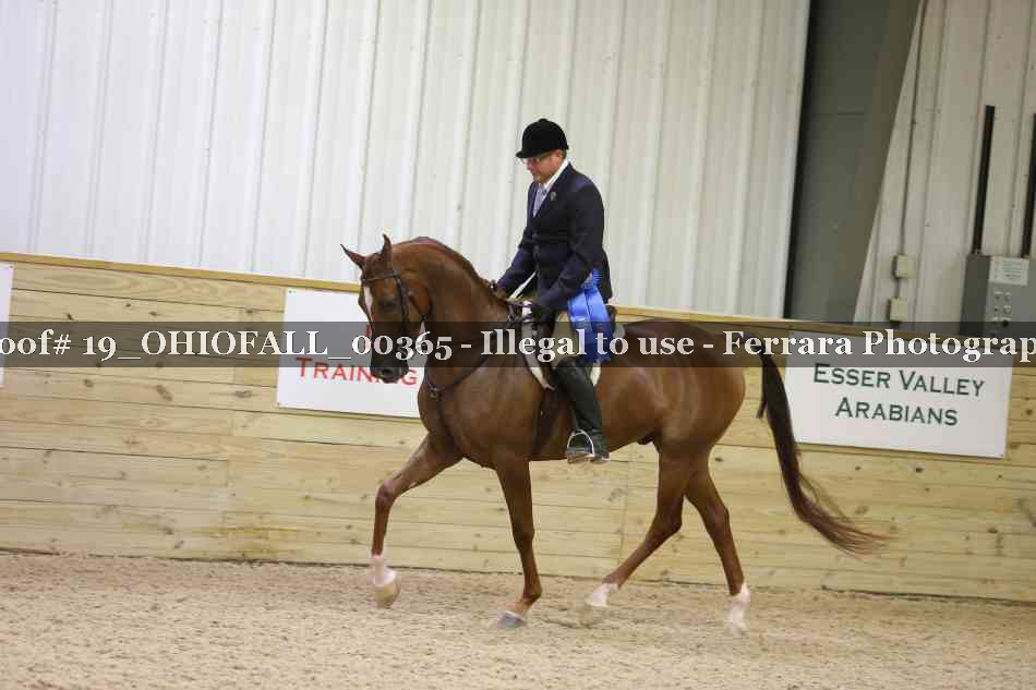 Proof 19_OHIOFALL_00365